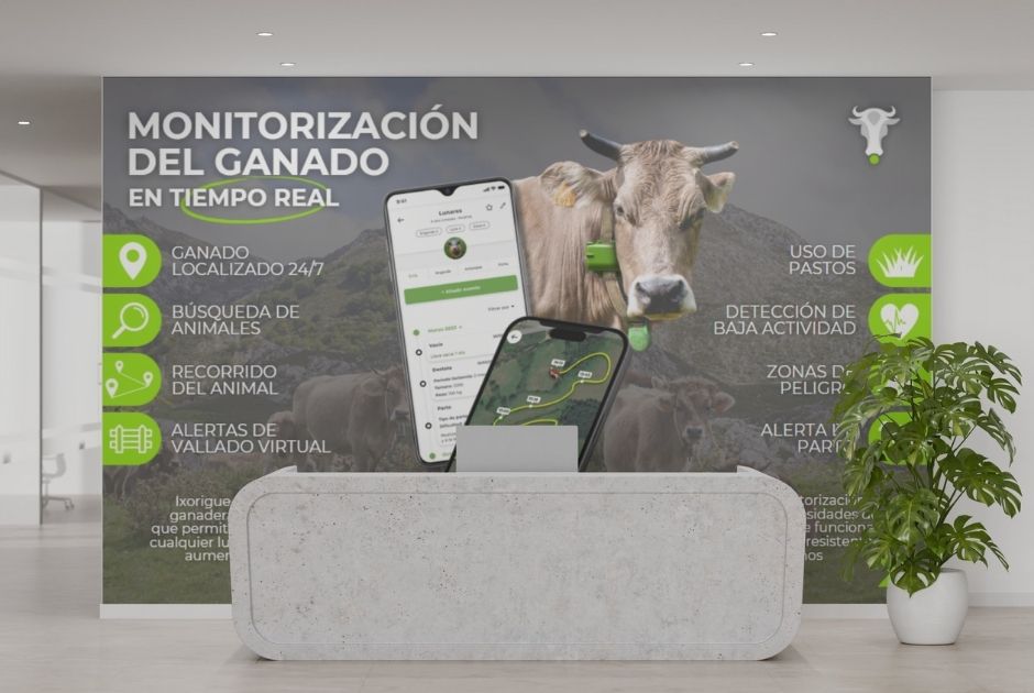 mockups dos esferas (6)